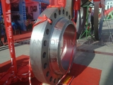WELDING NECK(WN)