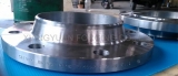 WELDING NECK(WN)